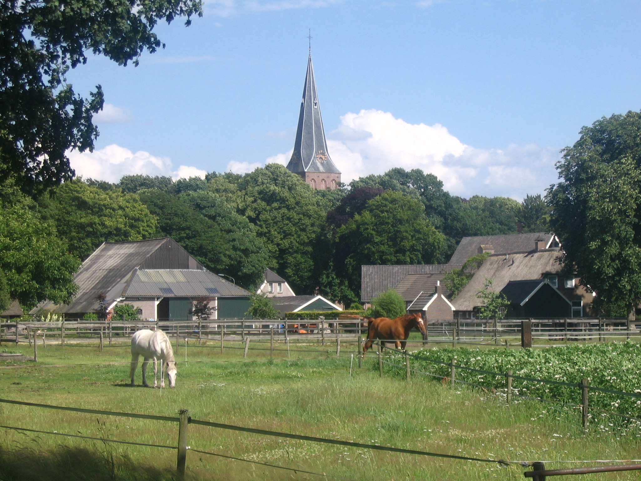 Je bekijkt nu Sleen en de omgeving